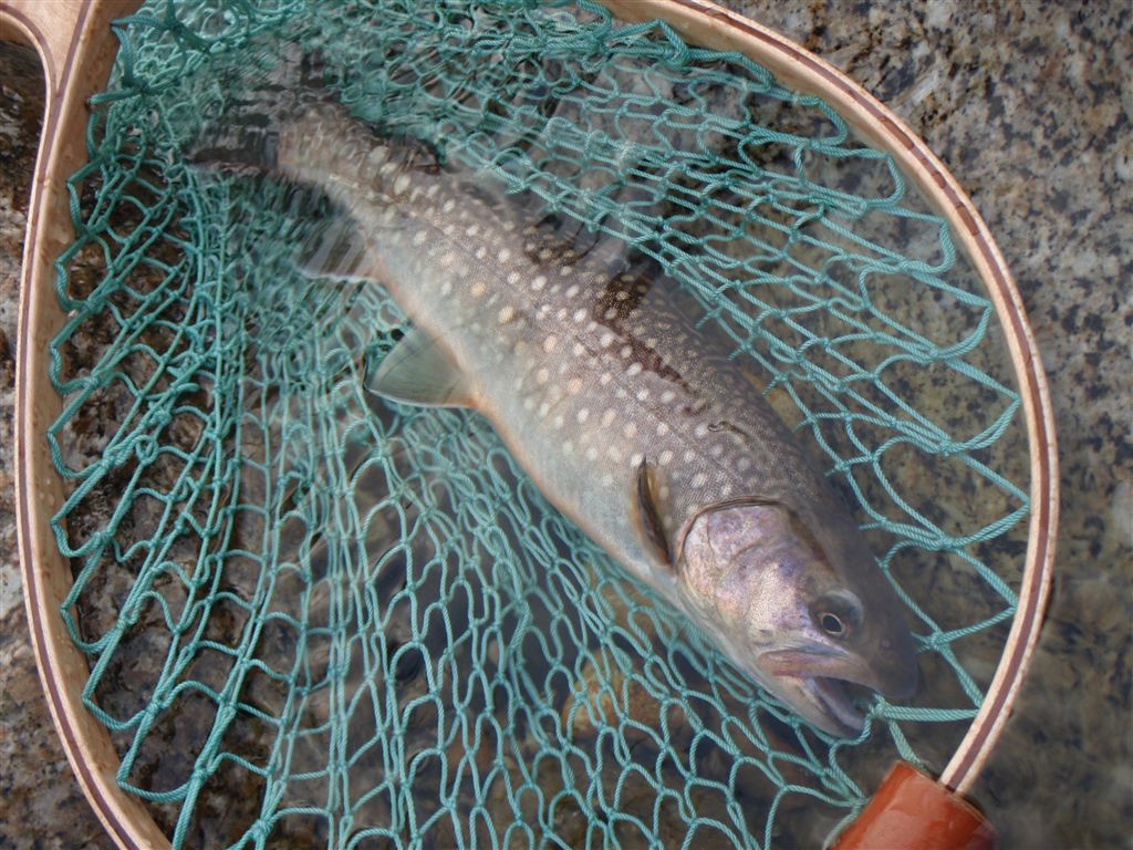 c0177497_2052577.jpg