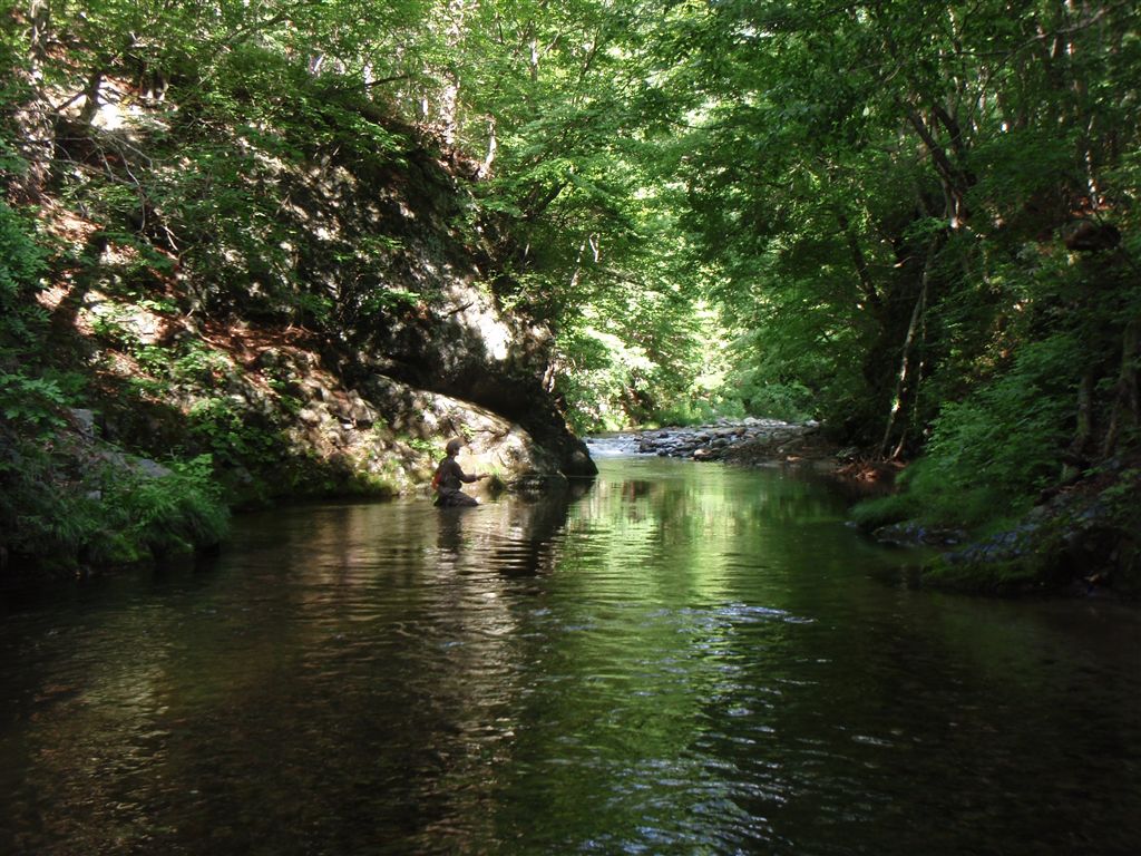 c0177497_2053534.jpg