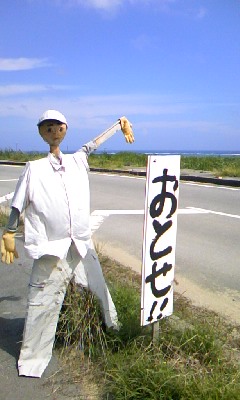 f0032403_8463882.jpg