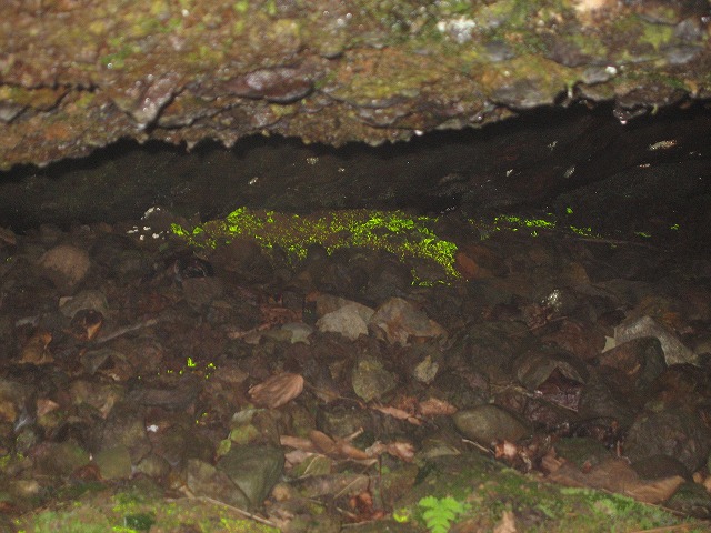f0202703_012887.jpg