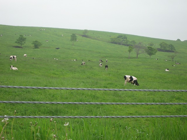 f0202703_2145168.jpg