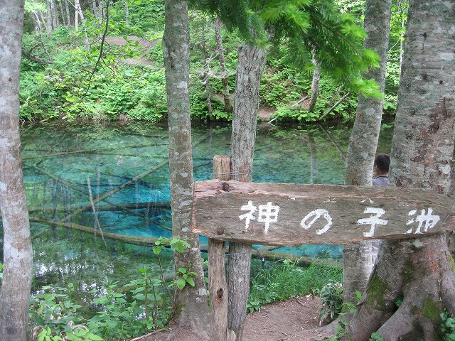 f0202703_22253485.jpg