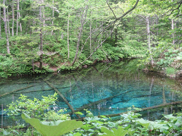 f0202703_22262288.jpg