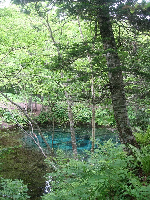 f0202703_22272393.jpg