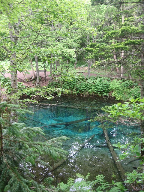 f0202703_22274656.jpg