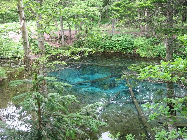 f0202703_22283634.jpg