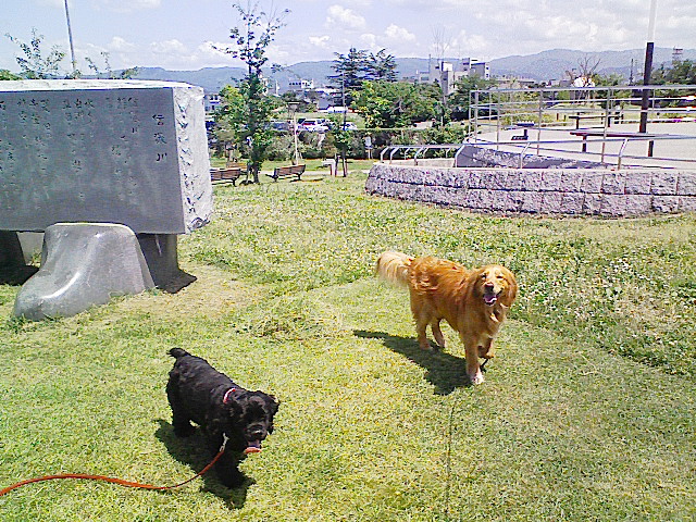 d0126011_13472560.jpg