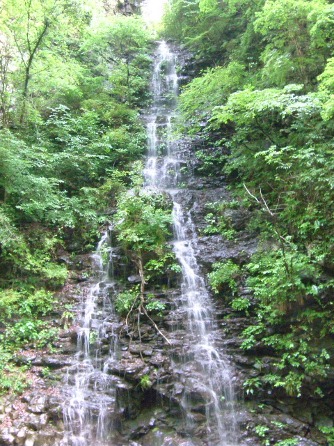 d0143011_20212368.jpg