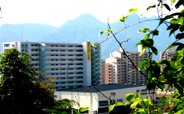 e0125014_10381784.jpg