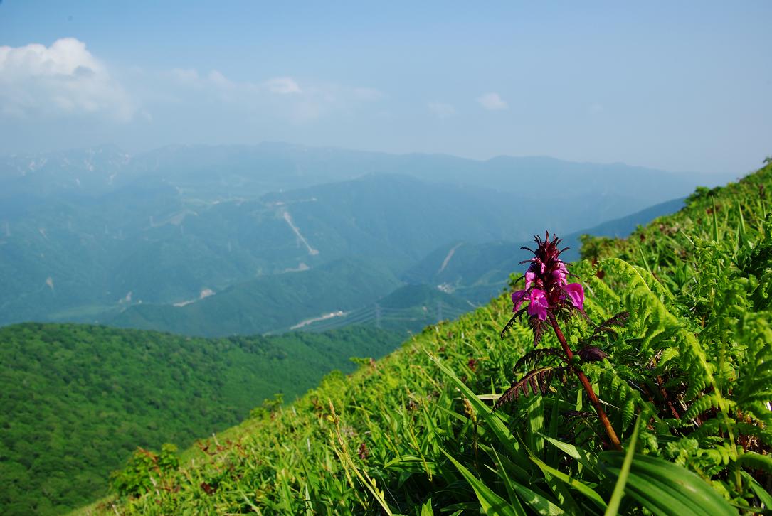 b0062024_75016100.jpg