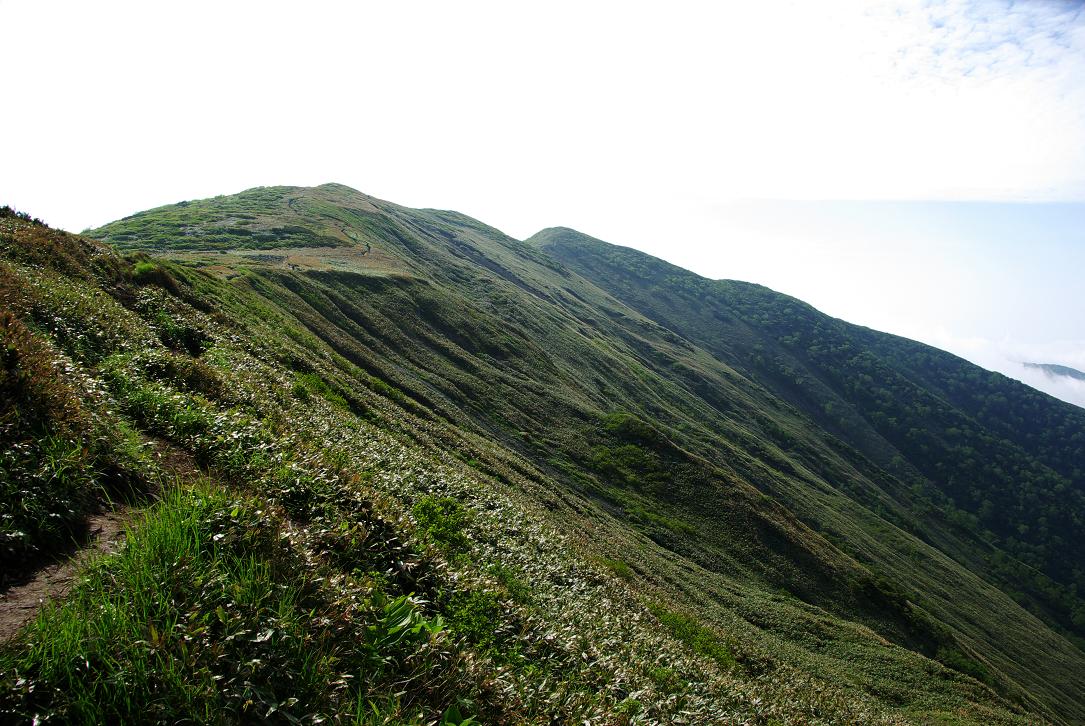 b0062024_7564981.jpg