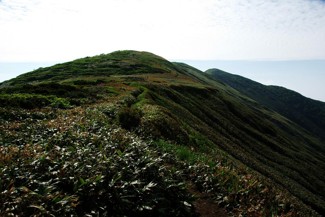 b0062024_757453.jpg