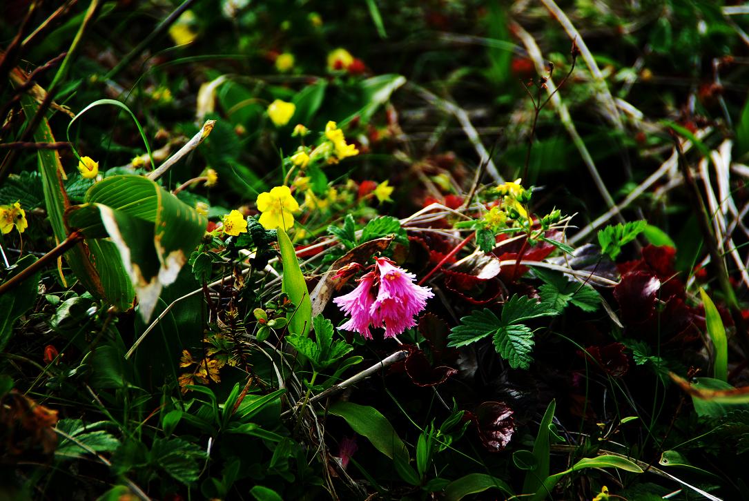 b0062024_805350.jpg