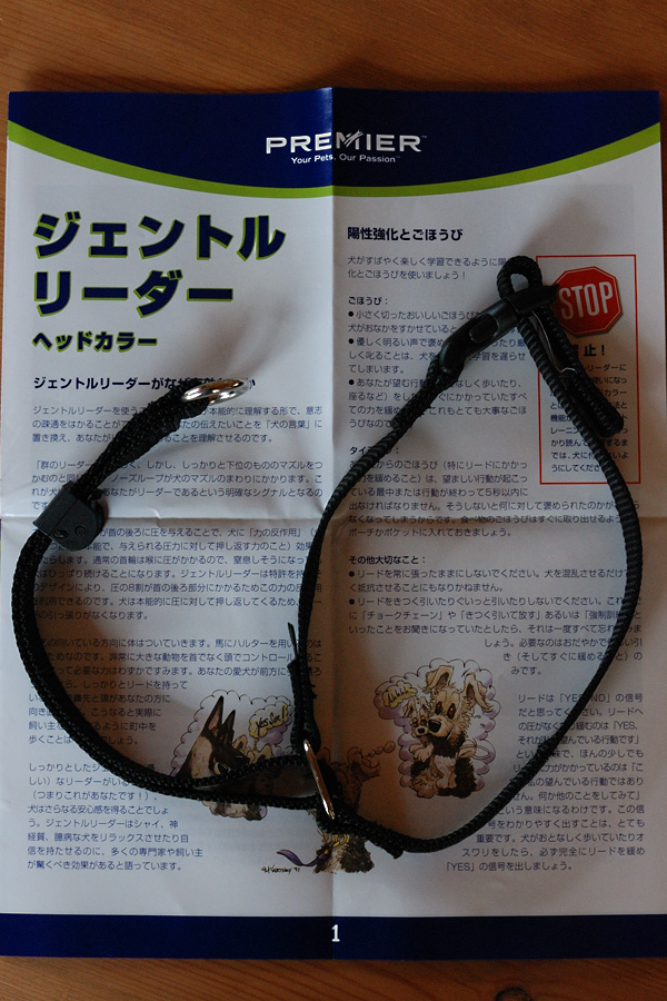 b0146024_2205573.jpg