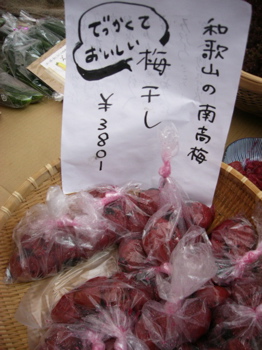 e0158226_2063087.jpg