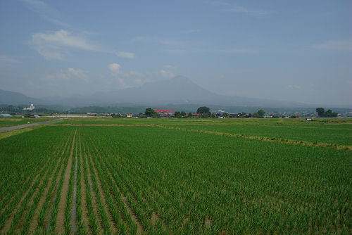 f0007926_22251785.jpg
