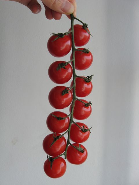 c0188527_3124129.jpg