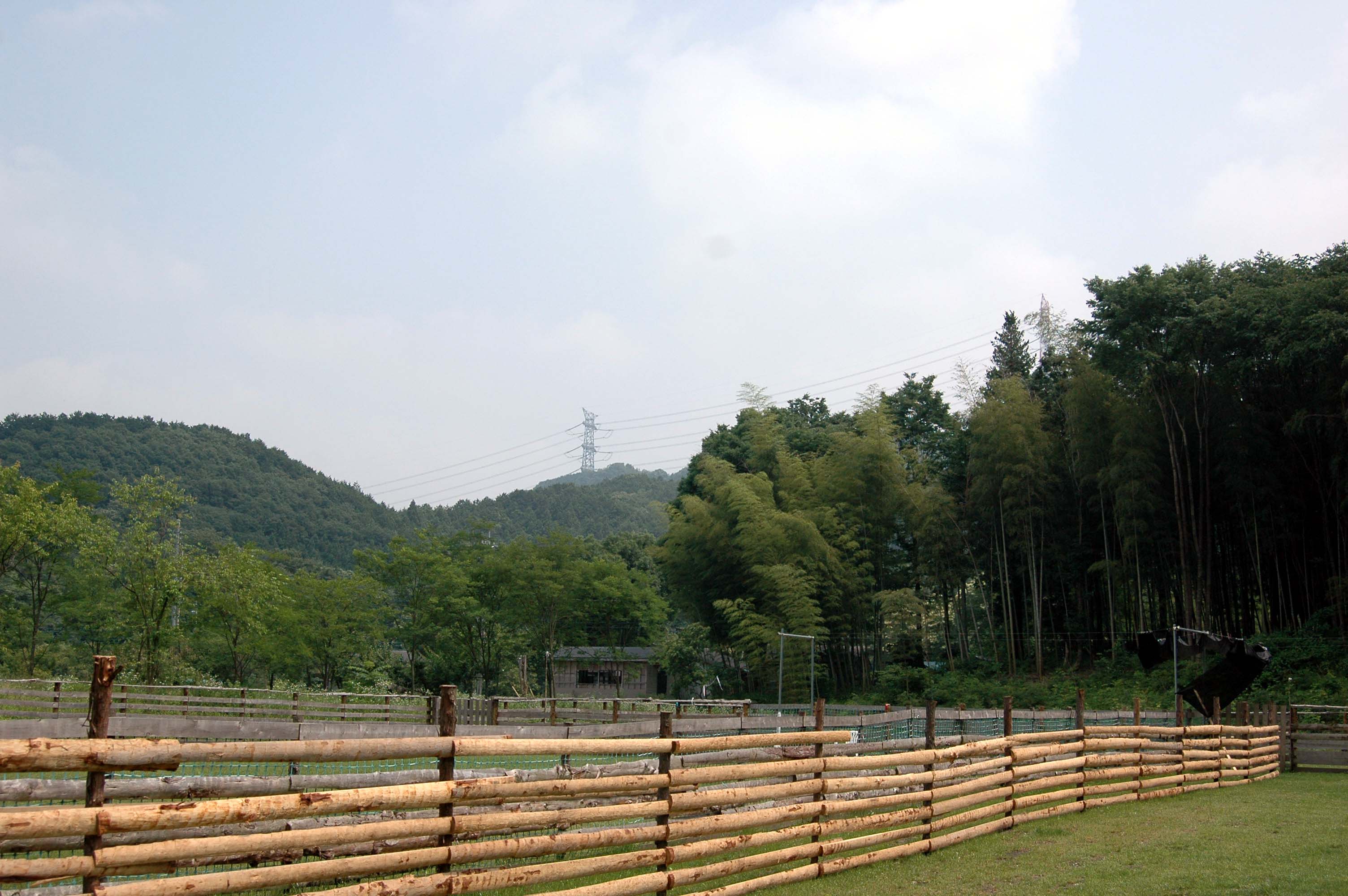 c0192930_11212498.jpg