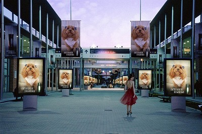 f0205733_1894812.jpg