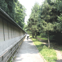 d0033734_1318894.gif