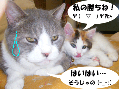 f0008935_1991461.gif
