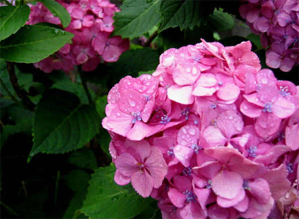 a0095337_23135980.jpg