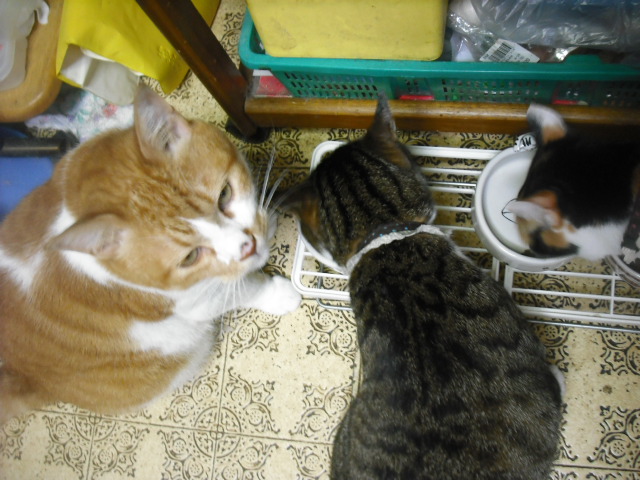 c0194042_21212462.jpg