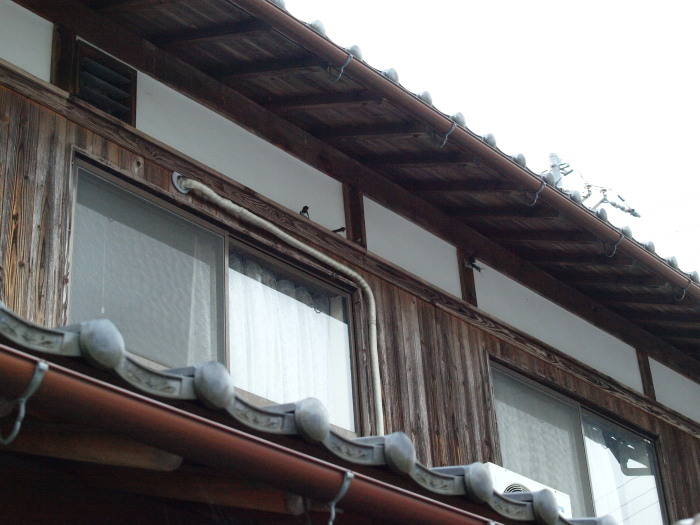 c0072843_18592921.jpg