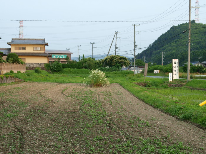 c0072843_18594336.jpg