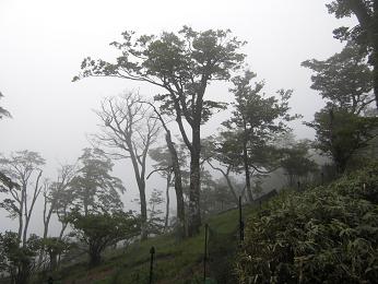 e0164643_22405030.jpg
