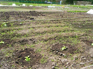 e0004756_20155090.jpg