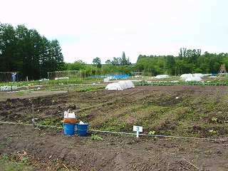 e0004756_20191877.jpg