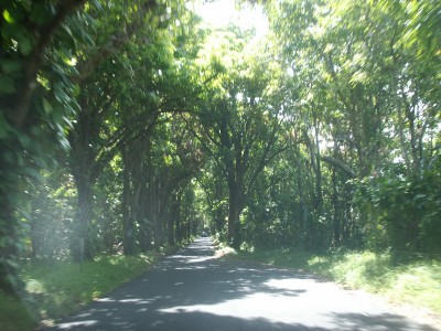 e0033156_1784042.jpg