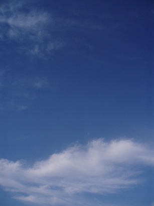 f0206162_15443376.jpg