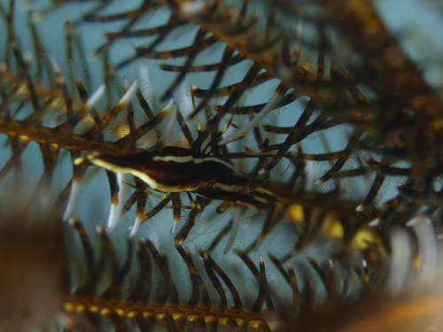 b0138768_17523913.jpg