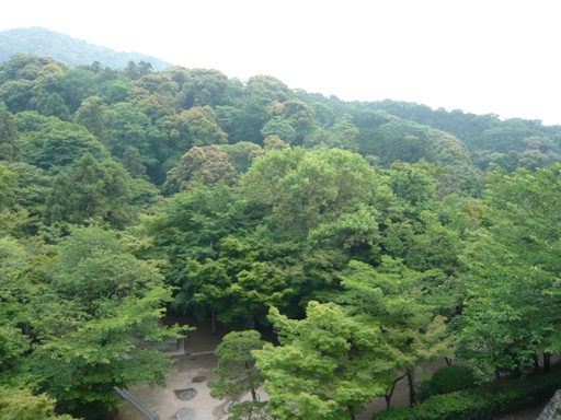 d0092973_16521525.jpg
