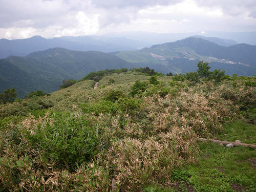c0002874_717436.jpg