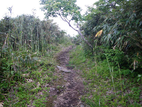 c0002874_7211036.jpg