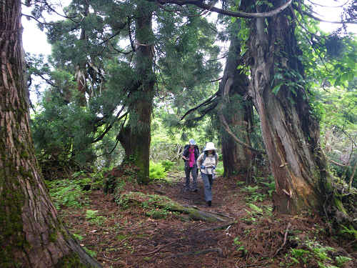 c0002874_7231515.jpg