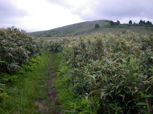 c0002874_7273080.jpg