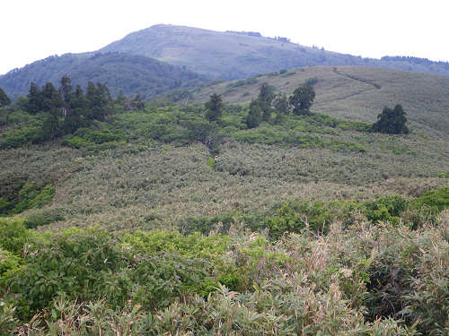 c0002874_7293251.jpg
