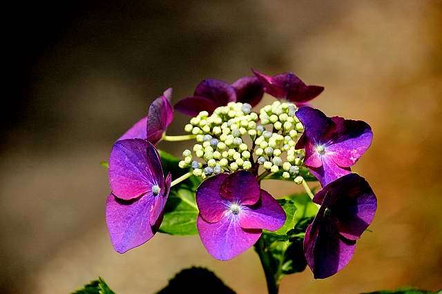 e0022175_0224090.jpg