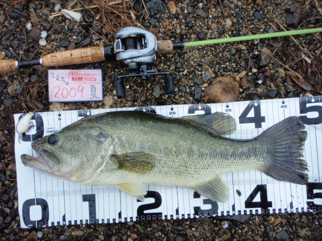 a0040876_22305129.jpg