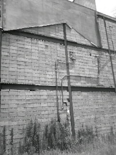 f0100480_23221146.jpg