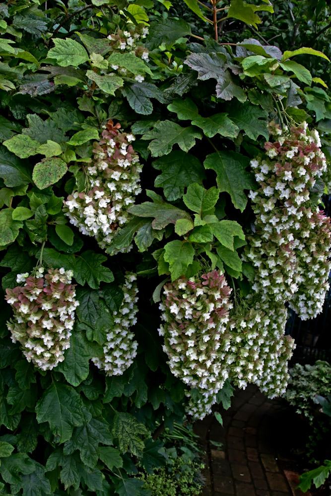 a0083081_16535860.jpg
