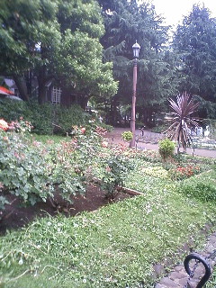 c0198685_1153179.jpg