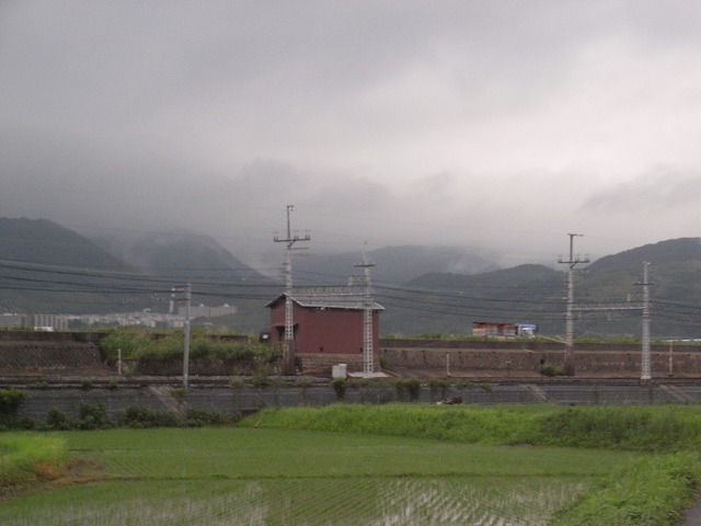 a0118289_8174219.jpg