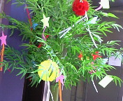 e0017290_20421421.jpg