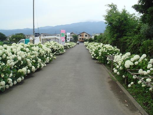 a0007193_22503185.jpg