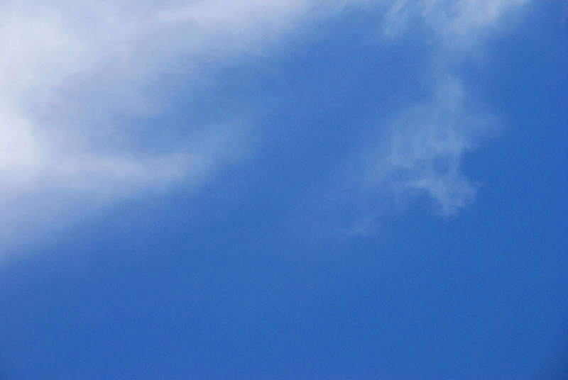 c0118394_18405672.jpg